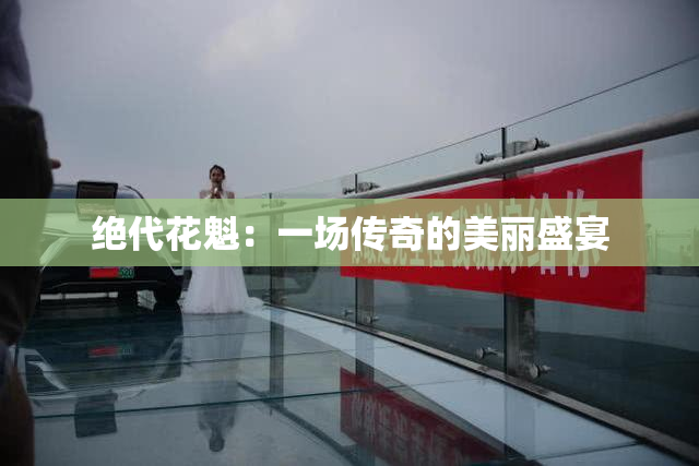 绝代花魁：一场传奇的美丽盛宴