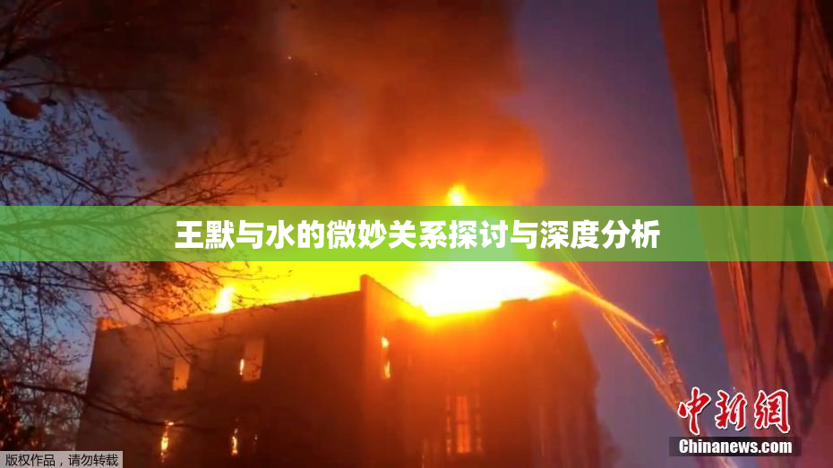 王默与水的微妙关系探讨与深度分析