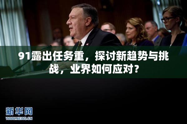 91露出任务重，探讨新趋势与挑战，业界如何应对？