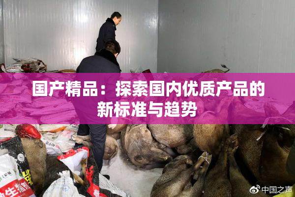 国产精品：探索国内优质产品的新标准与趋势