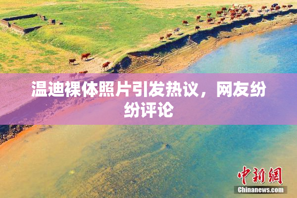 温迪裸体照片引发热议，网友纷纷评论