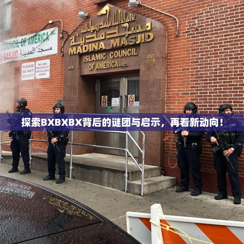 探索BXBXBX背后的谜团与启示，再看新动向！