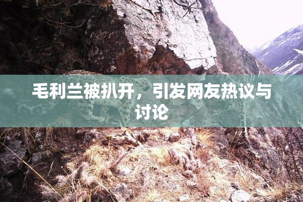 毛利兰被扒开，引发网友热议与讨论