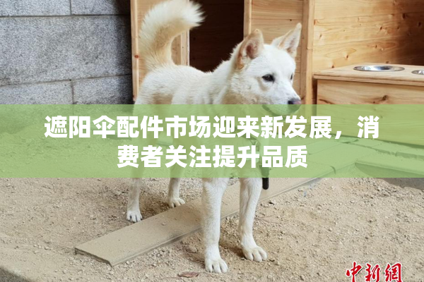 遮阳伞配件市场迎来新发展，消费者关注提升品质