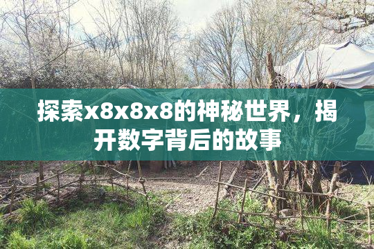 探索x8x8x8的神秘世界，揭开数字背后的故事
