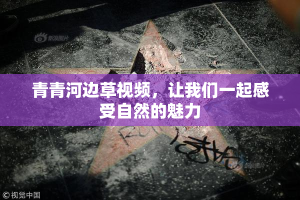 青青河边草视频，让我们一起感受自然的魅力