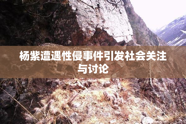 杨紫遭遇性侵事件引发社会关注与讨论