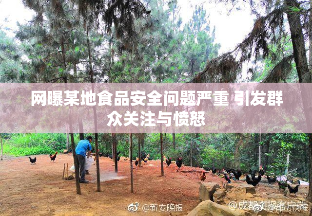 网曝某地食品安全问题严重 引发群众关注与愤怒