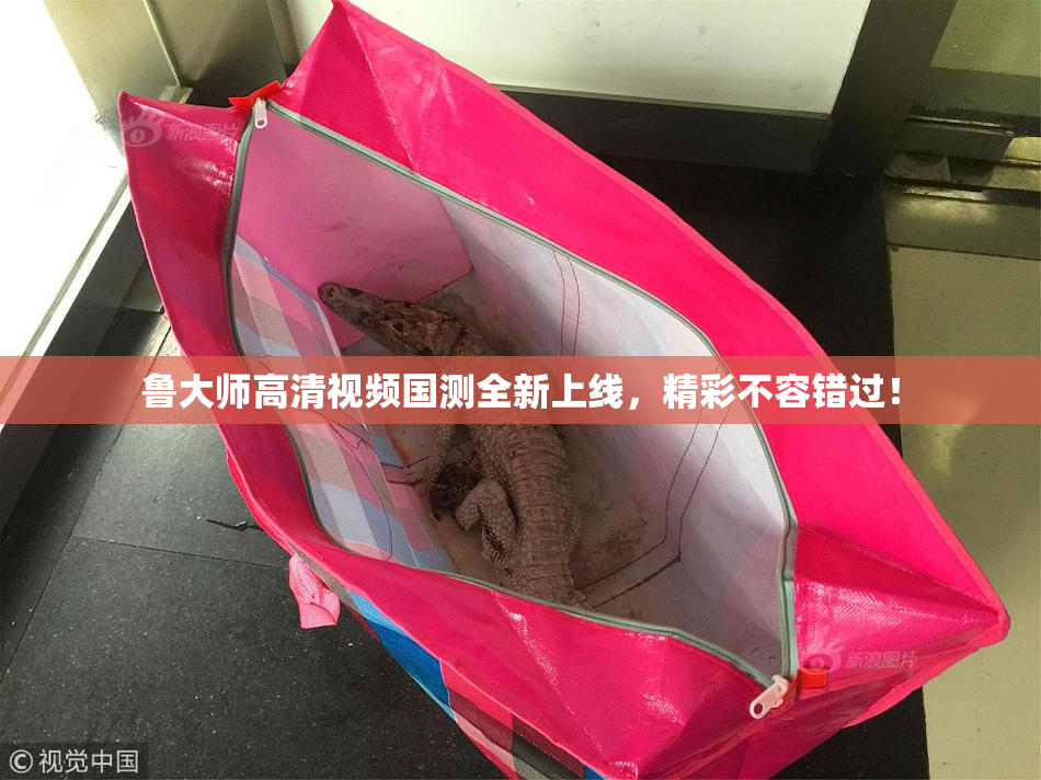 鲁大师高清视频国测全新上线，精彩不容错过！