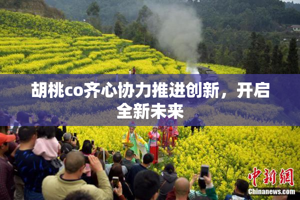 胡桃co齐心协力推进创新，开启全新未来