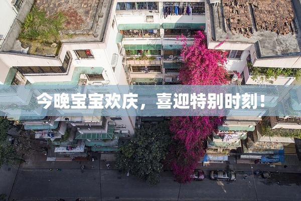 今晚宝宝欢庆，喜迎特别时刻！
