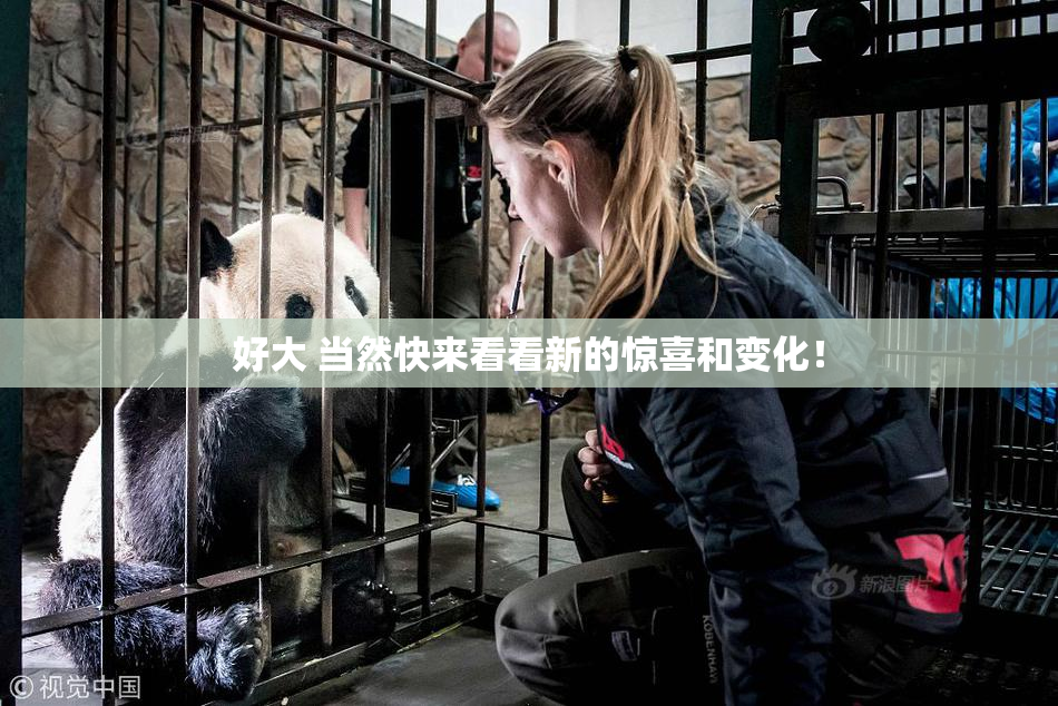 好大 当然快来看看新的惊喜和变化！