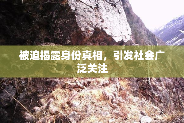 被迫揭露身份真相，引发社会广泛关注