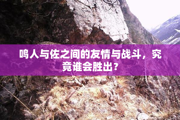 鸣人与佐之间的友情与战斗，究竟谁会胜出？