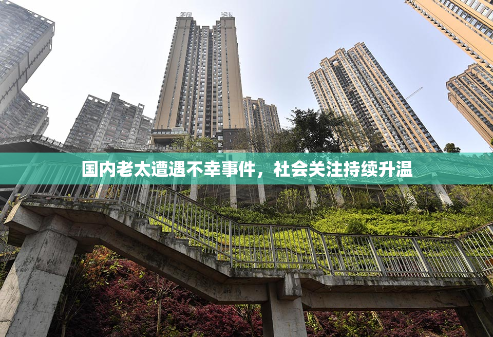 国内老太遭遇不幸事件，社会关注持续升温