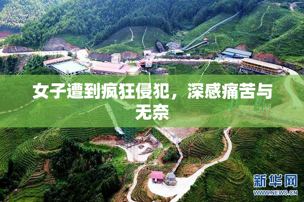 女子遭到疯狂侵犯，深感痛苦与无奈