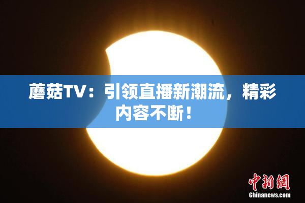 蘑菇TV：引领直播新潮流，精彩内容不断！