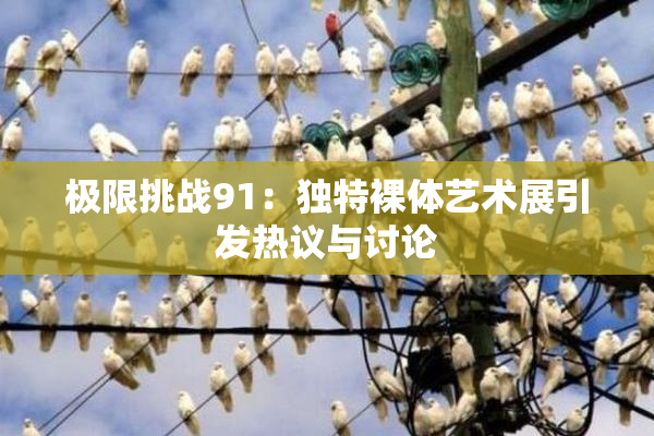 极限挑战91：独特裸体艺术展引发热议与讨论
