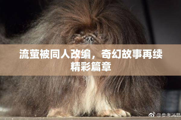 流萤被同人改编，奇幻故事再续精彩篇章