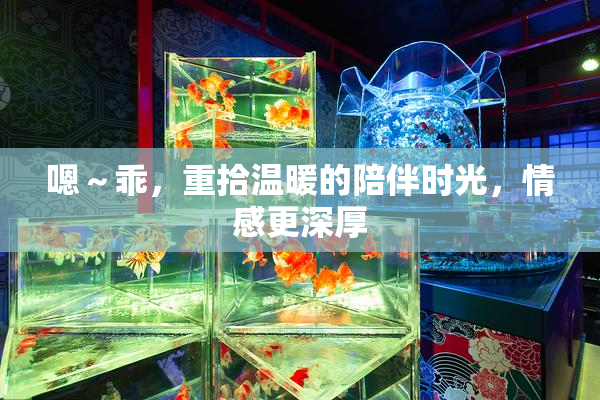 嗯～乖，重拾温暖的陪伴时光，情感更深厚