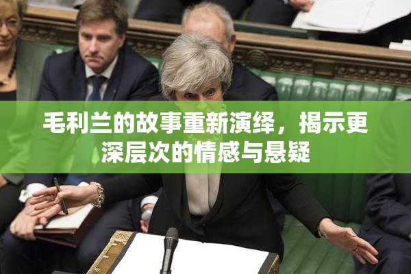 毛利兰的故事重新演绎，揭示更深层次的情感与悬疑