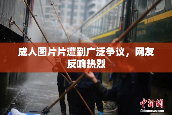 成人图片片遭到广泛争议，网友反响热烈