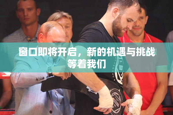 窗口即将开启，新的机遇与挑战等着我们
