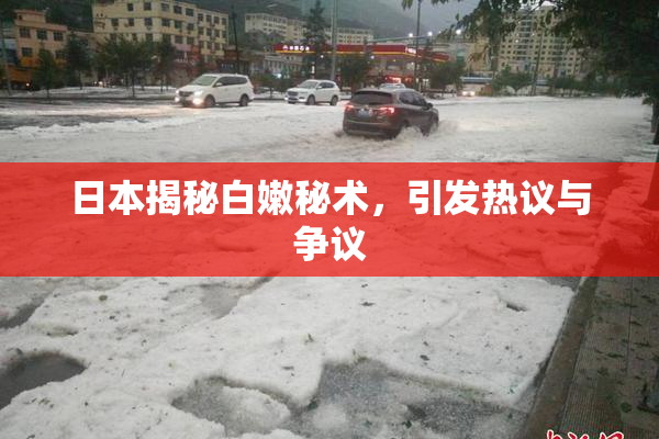 日本揭秘白嫩秘术，引发热议与争议