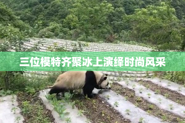 三位模特齐聚冰上演绎时尚风采