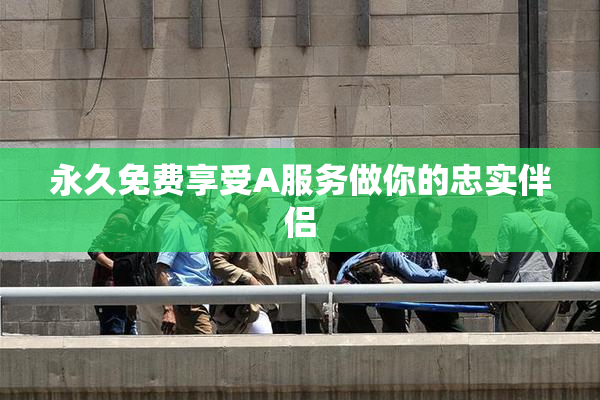 永久免费享受A服务做你的忠实伴侣