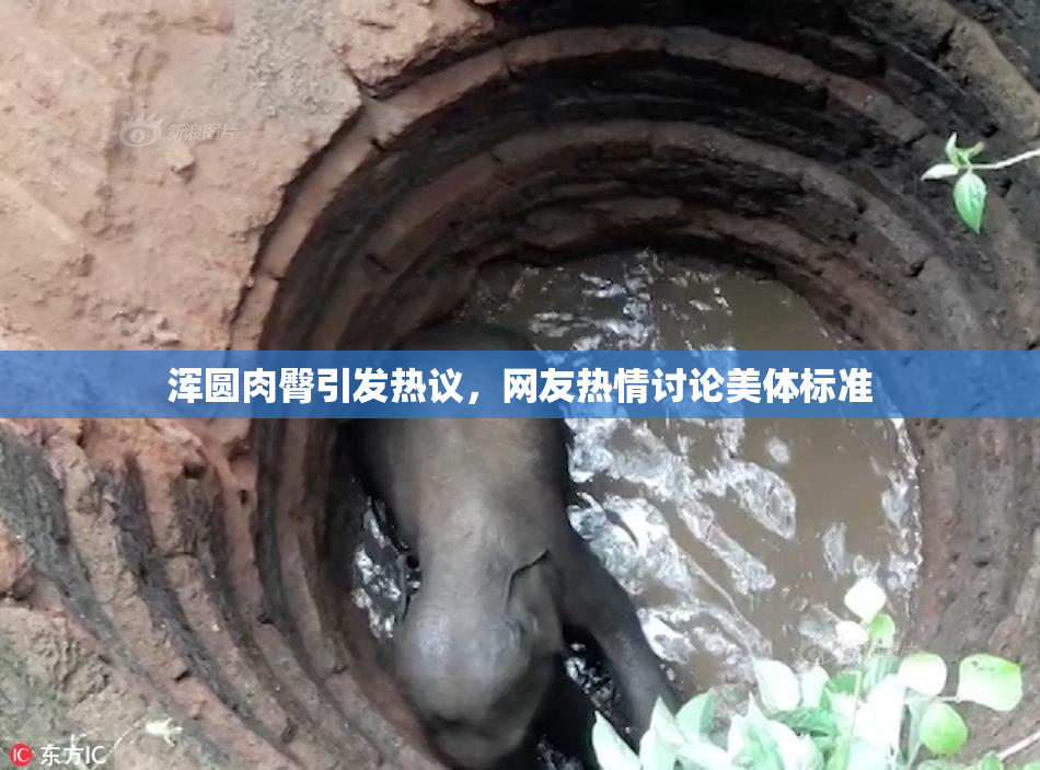 浑圆肉臀引发热议，网友热情讨论美体标准