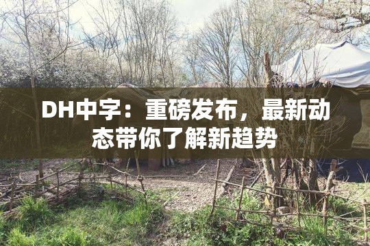 DH中字：重磅发布，最新动态带你了解新趋势