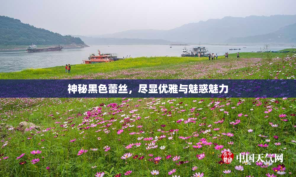 神秘黑色蕾丝，尽显优雅与魅惑魅力