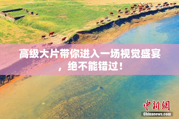 高级大片带你进入一场视觉盛宴，绝不能错过！