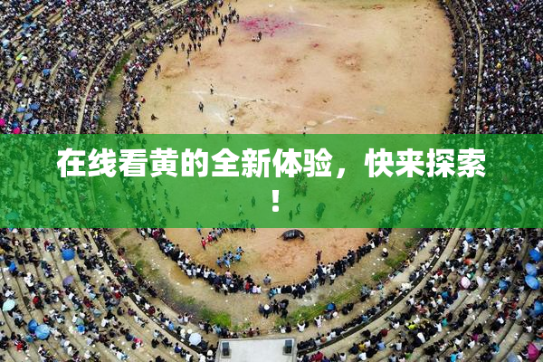 在线看黄的全新体验，快来探索！