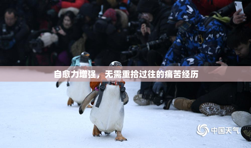 自愈力增强，无需重拾过往的痛苦经历
