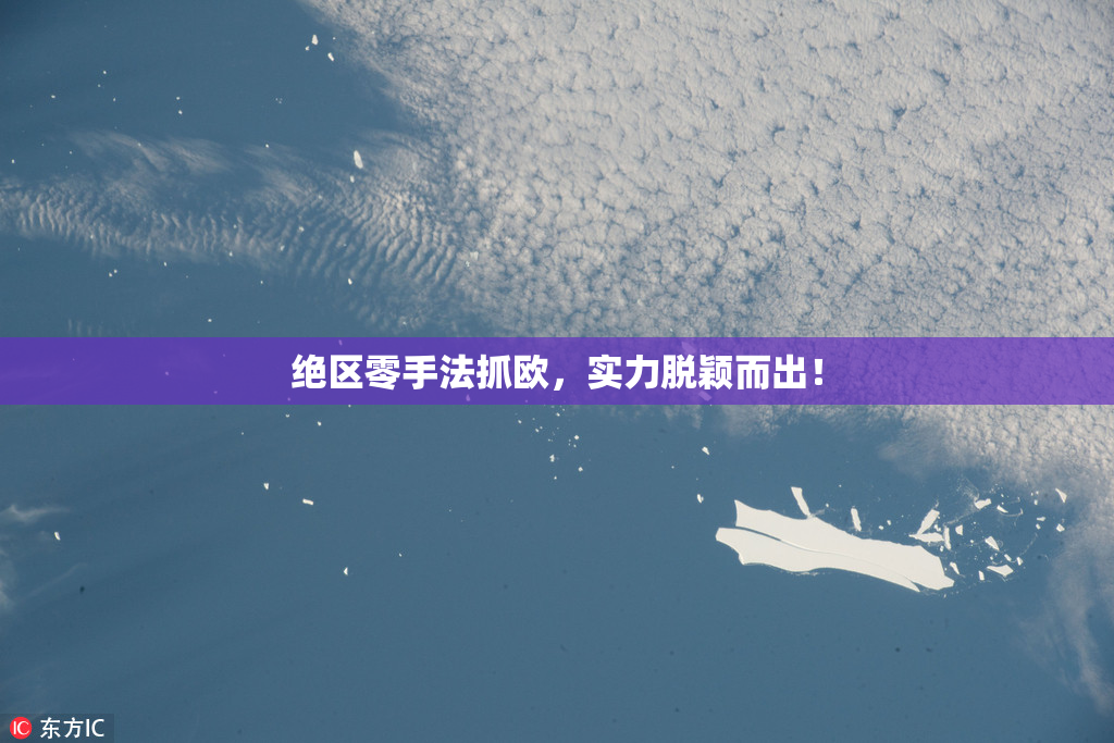 绝区零手法抓欧，实力脱颖而出！