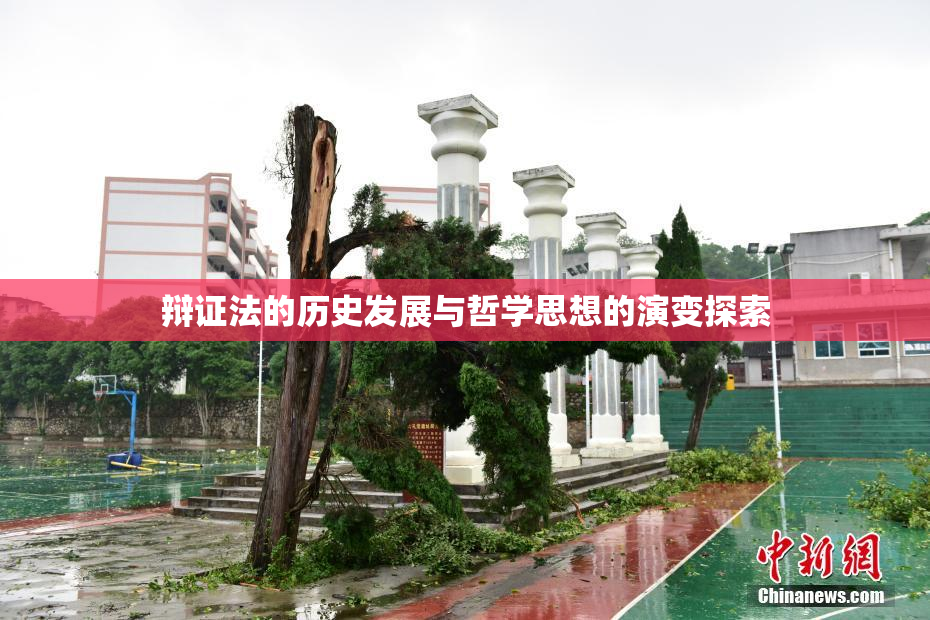 辩证法的历史发展与哲学思想的演变探索