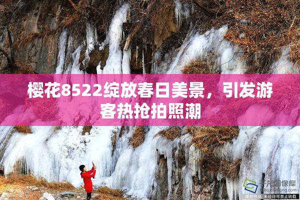 樱花8522绽放春日美景，引发游客热抢拍照潮