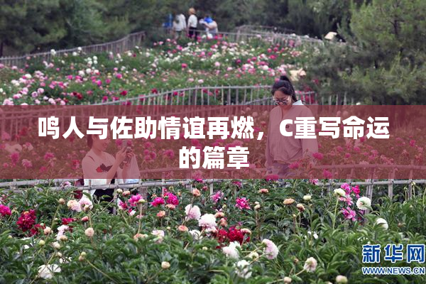 鸣人与佐助情谊再燃，C重写命运的篇章