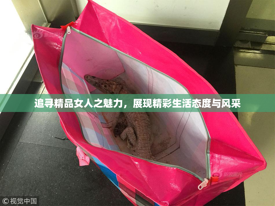 追寻精品女人之魅力，展现精彩生活态度与风采