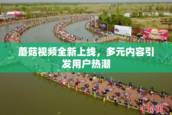 蘑菇视频全新上线，多元内容引发用户热潮