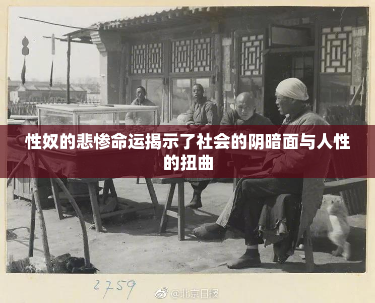 性奴的悲惨命运揭示了社会的阴暗面与人性的扭曲