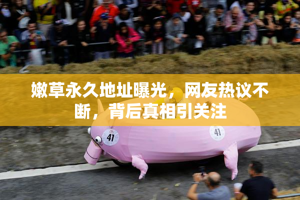 嫩草永久地址曝光，网友热议不断，背后真相引关注