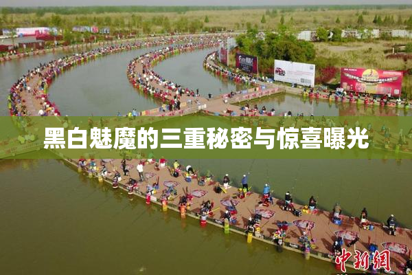 黑白魅魔的三重秘密与惊喜曝光