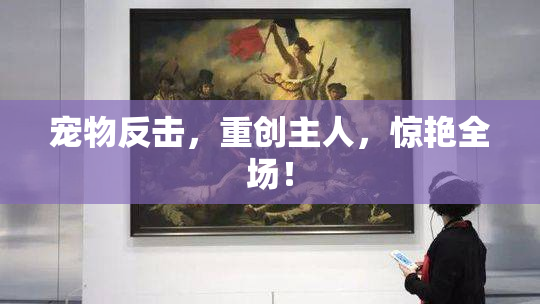 宠物反击，重创主人，惊艳全场！