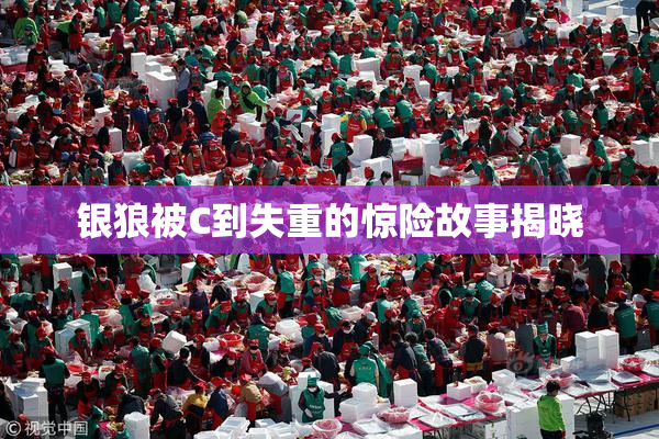 银狼被C到失重的惊险故事揭晓
