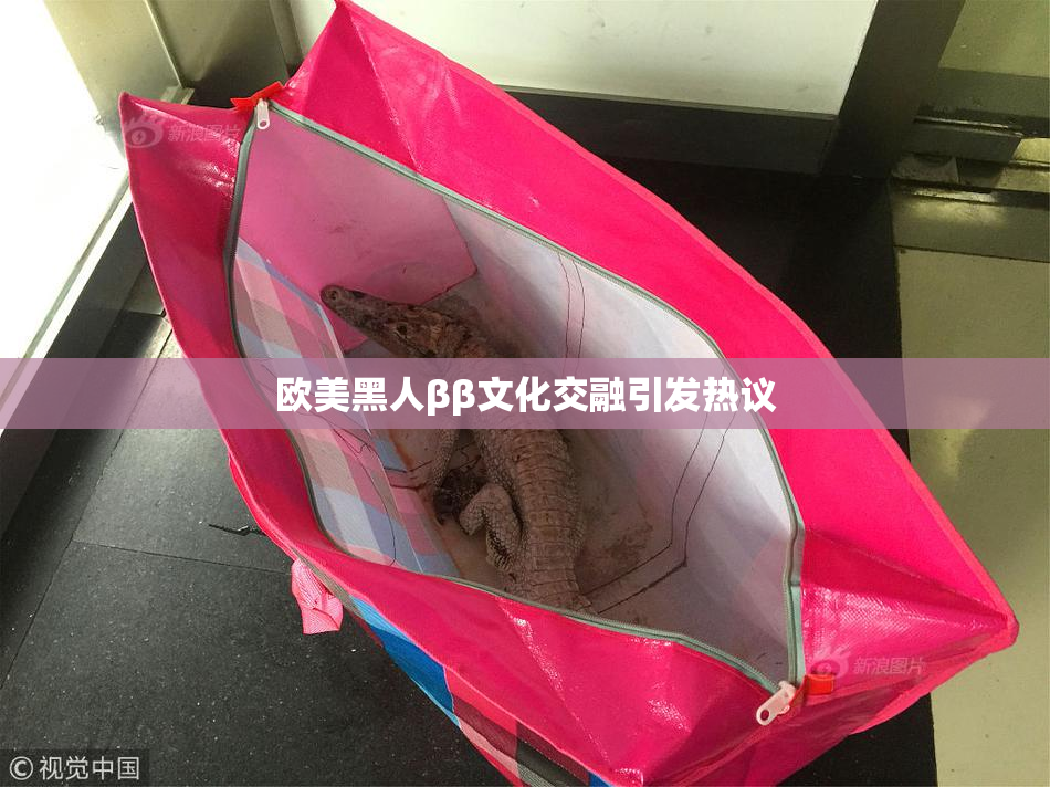 欧美黑人ββ文化交融引发热议