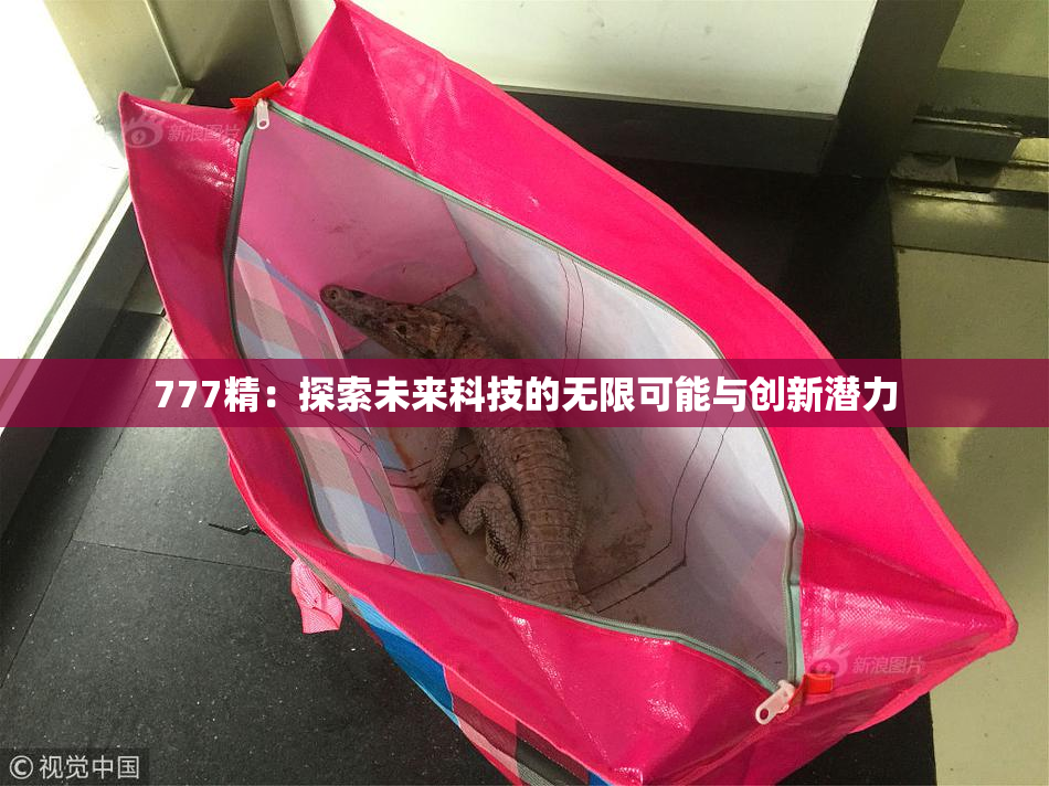 777精：探索未来科技的无限可能与创新潜力