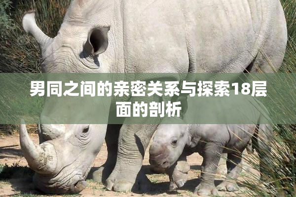 男同之间的亲密关系与探索18层面的剖析